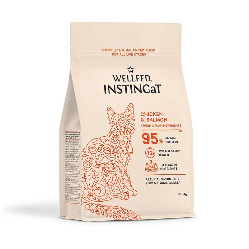 Pet Interest Wellfed INSTINCaT Complete Chicken & Salmon Cat Food 300g – All Life Stages